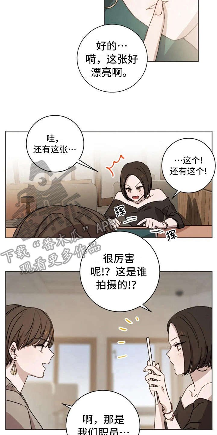 第17章：不该那样