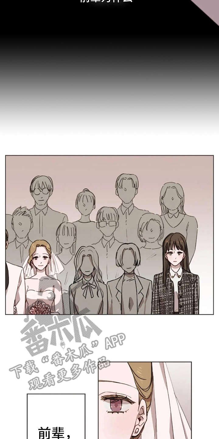 第21章：结婚