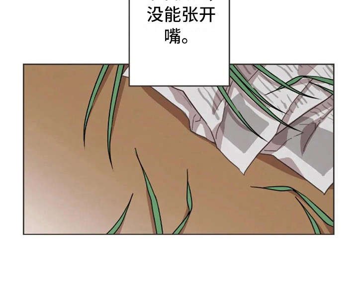 第38章：没有解释