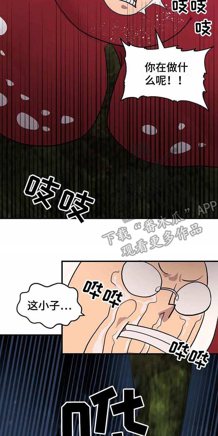 第13章：救援