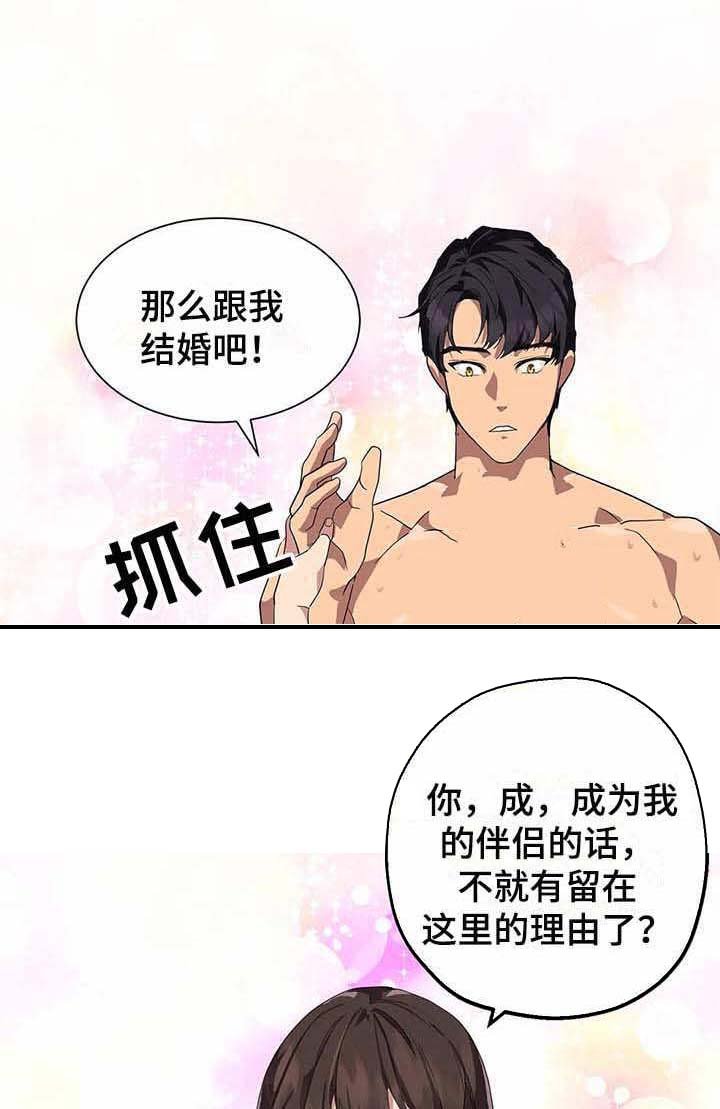 第15章：开花结果（完结）