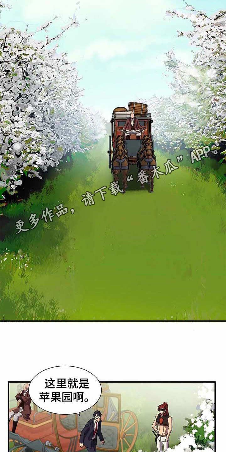 第7章：苹果园