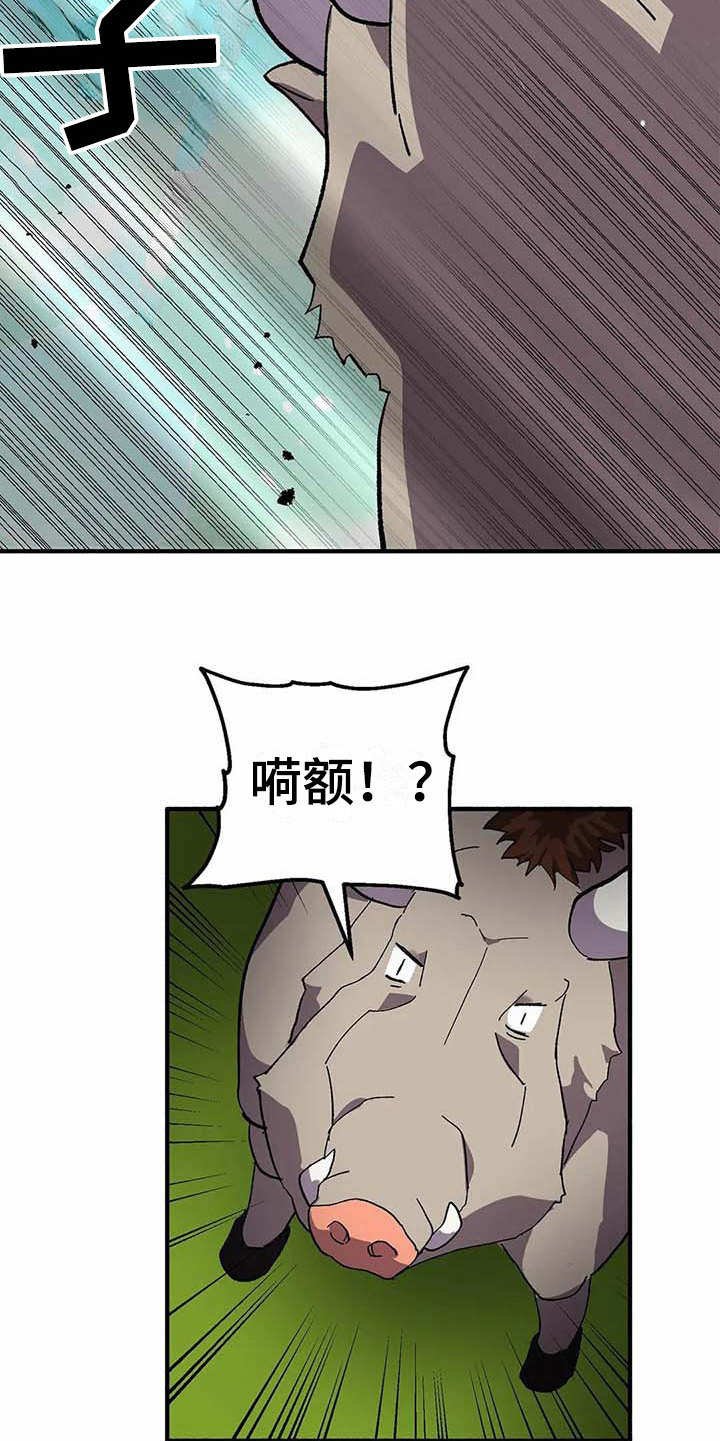 第8章：山精灵