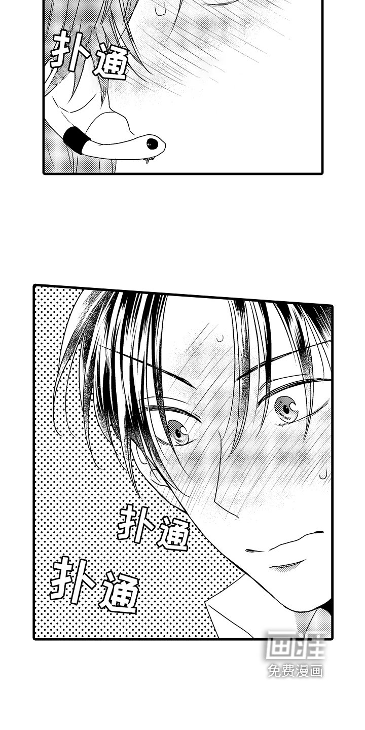 第15章：喜欢