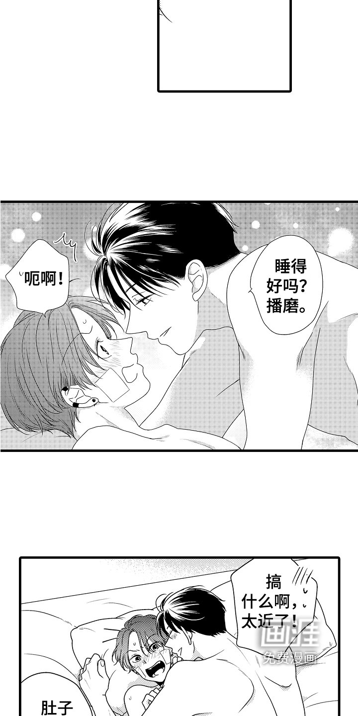 第16章：约定