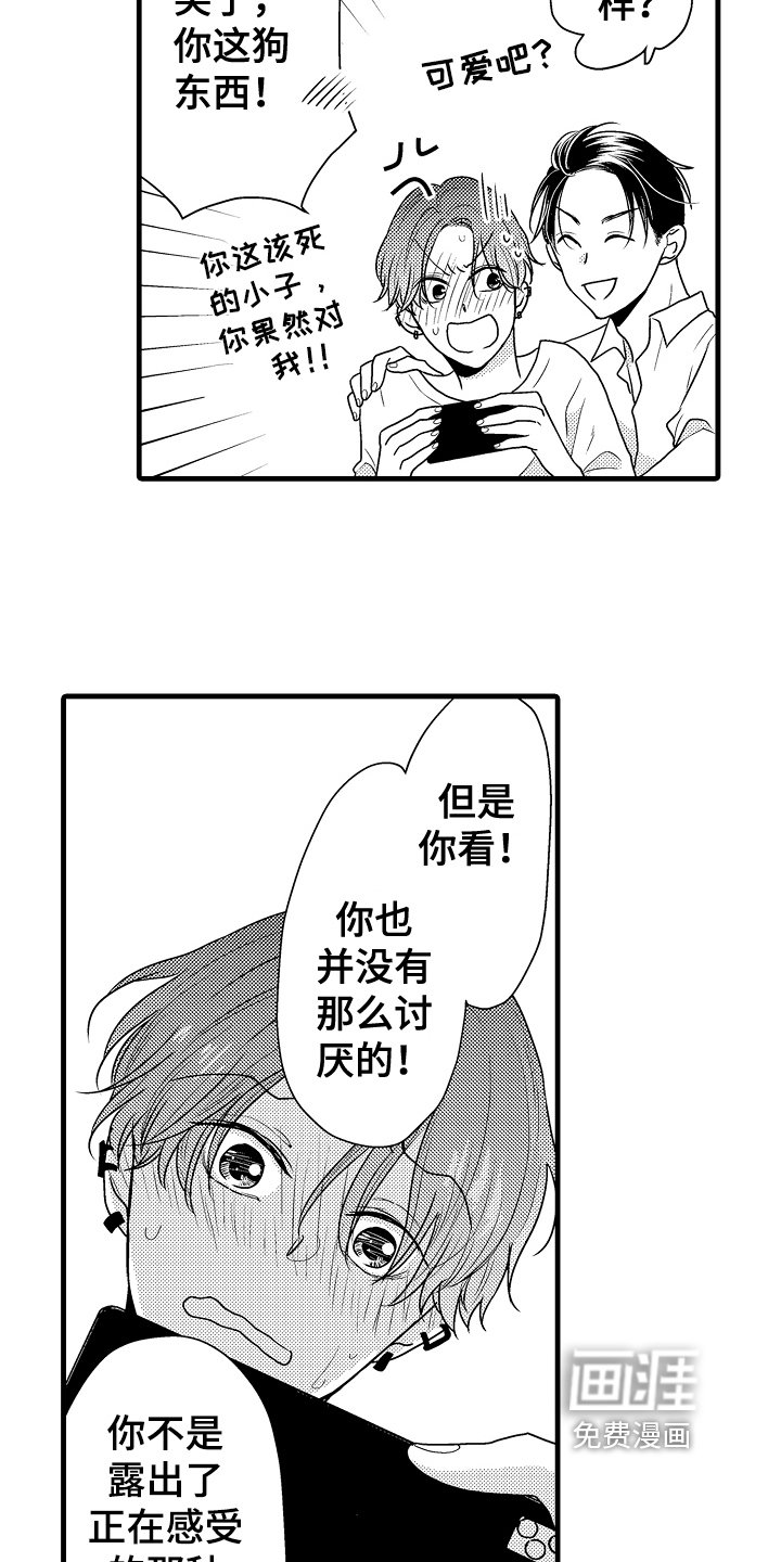 第5章：挺不错的