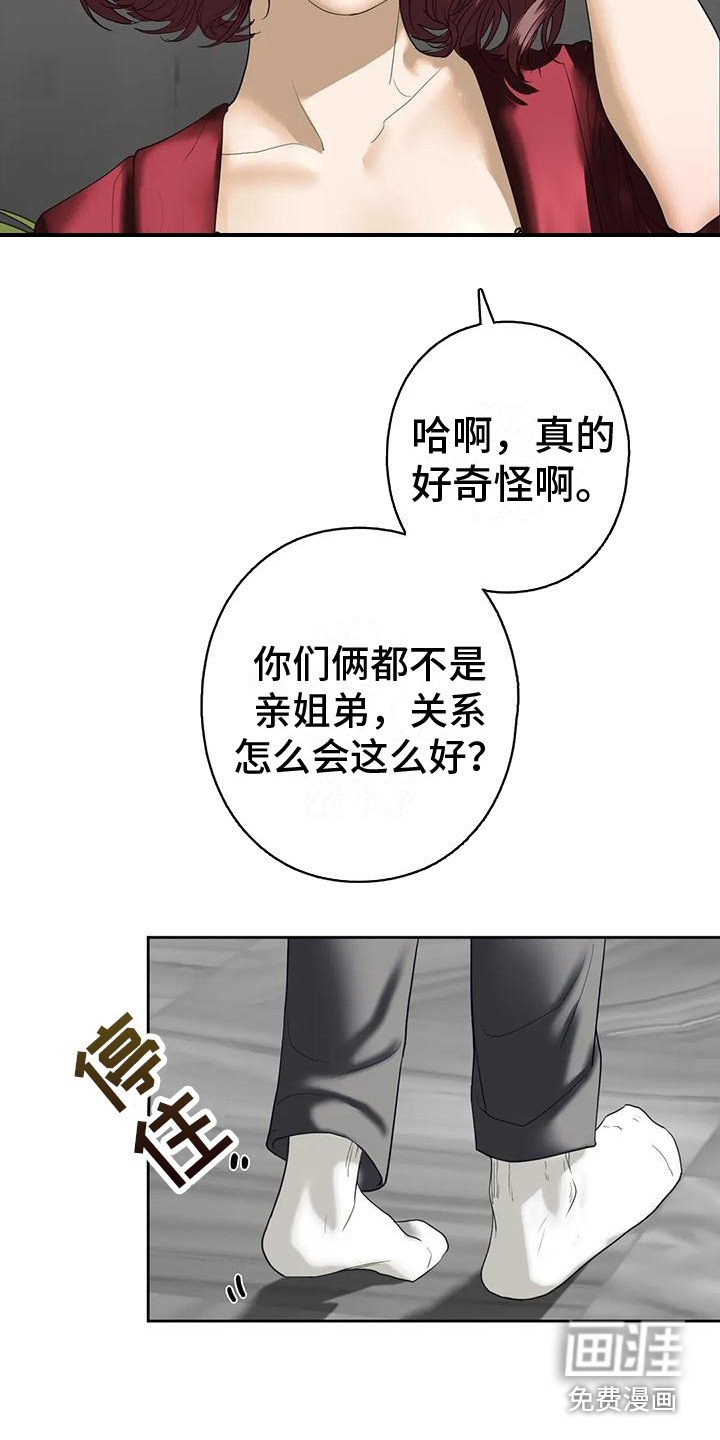 第12章：其他想法