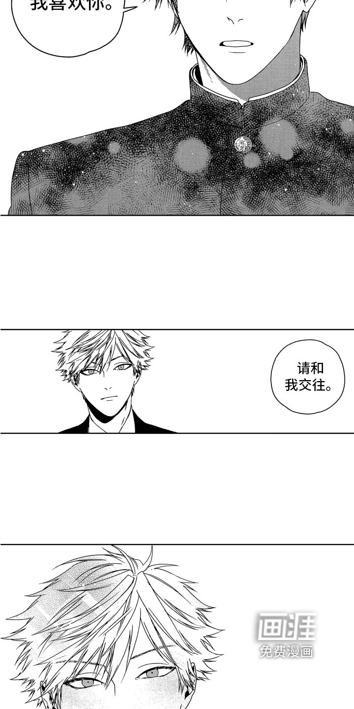 第16章：表白