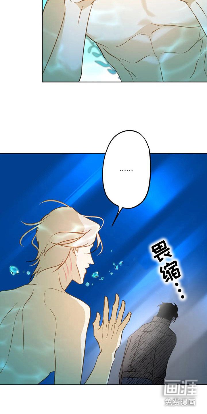 第10章：不要走