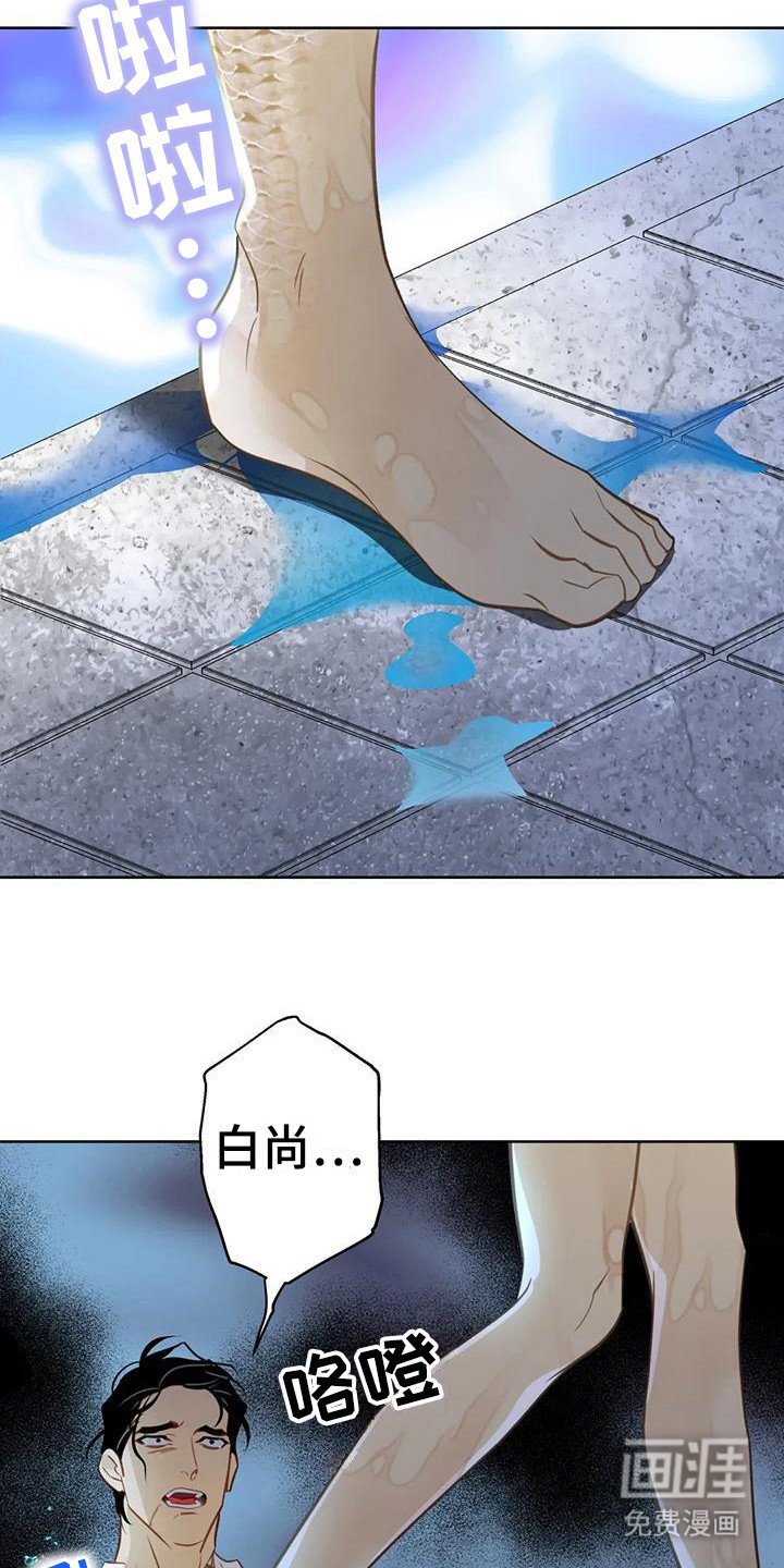 第13章：瞬间清醒