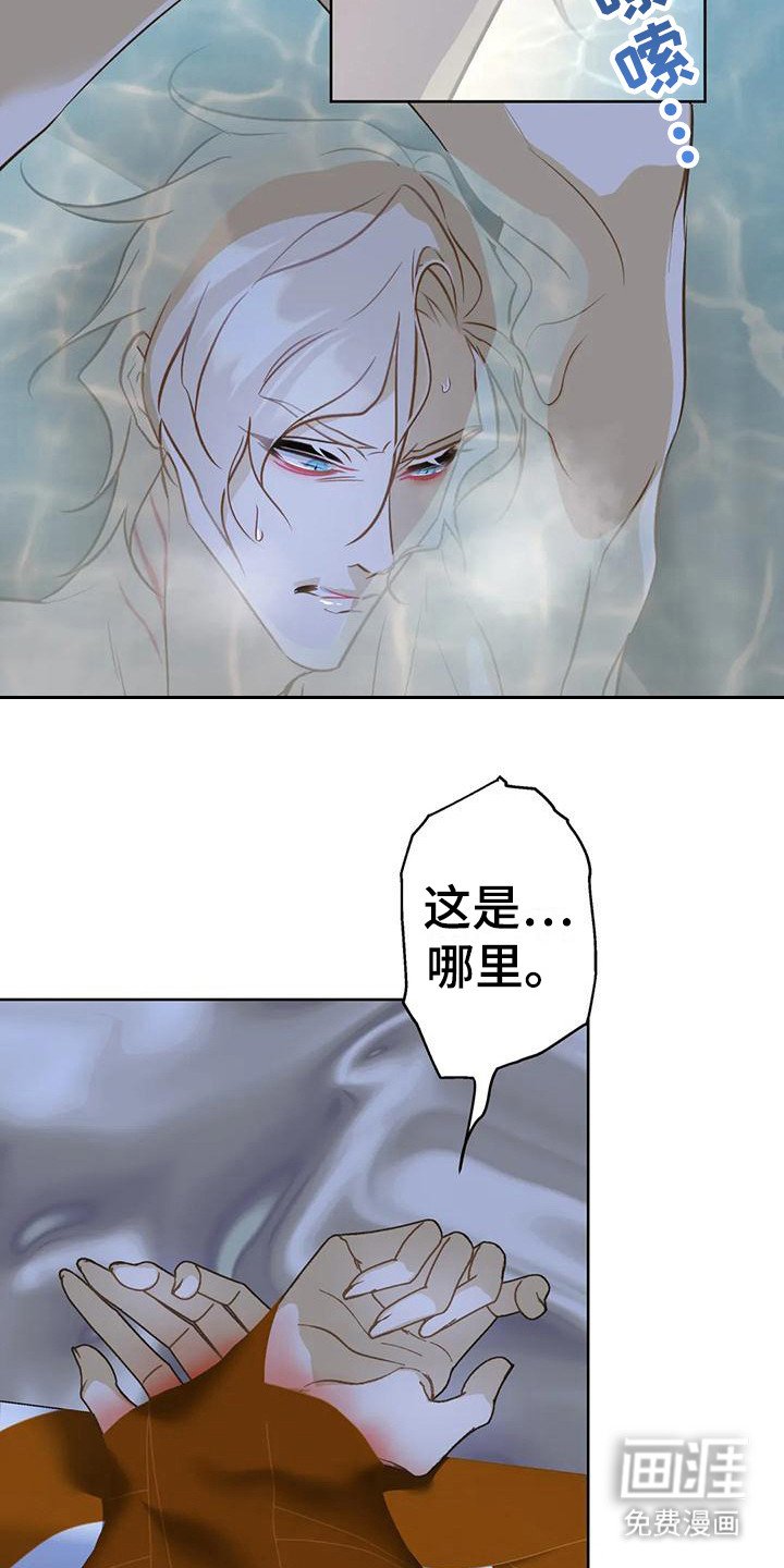 第17章：悄悄跟上