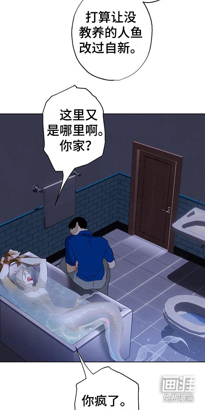 第17章：悄悄跟上