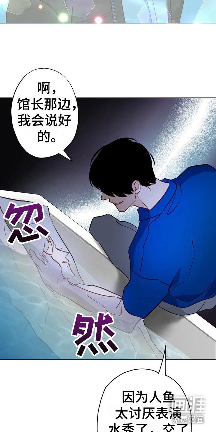第17章：悄悄跟上