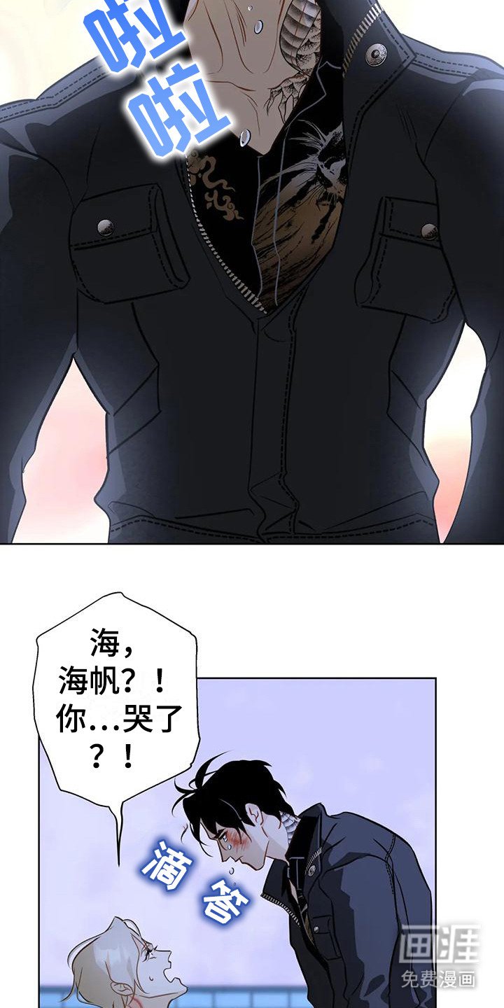 第19章：哭了