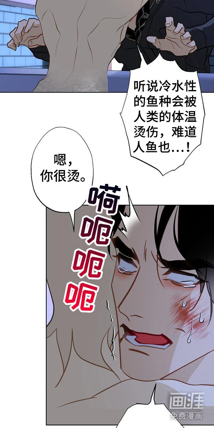 第20章：变不回来