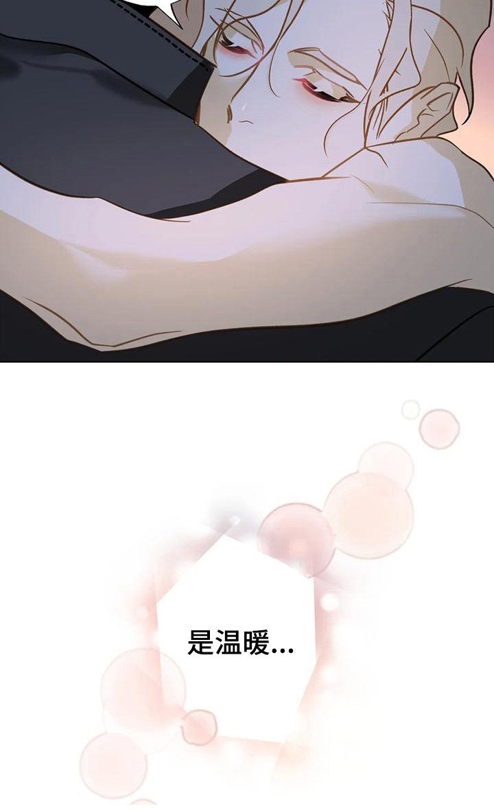 第20章：变不回来