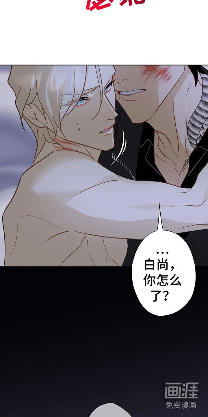 第20章：变不回来
