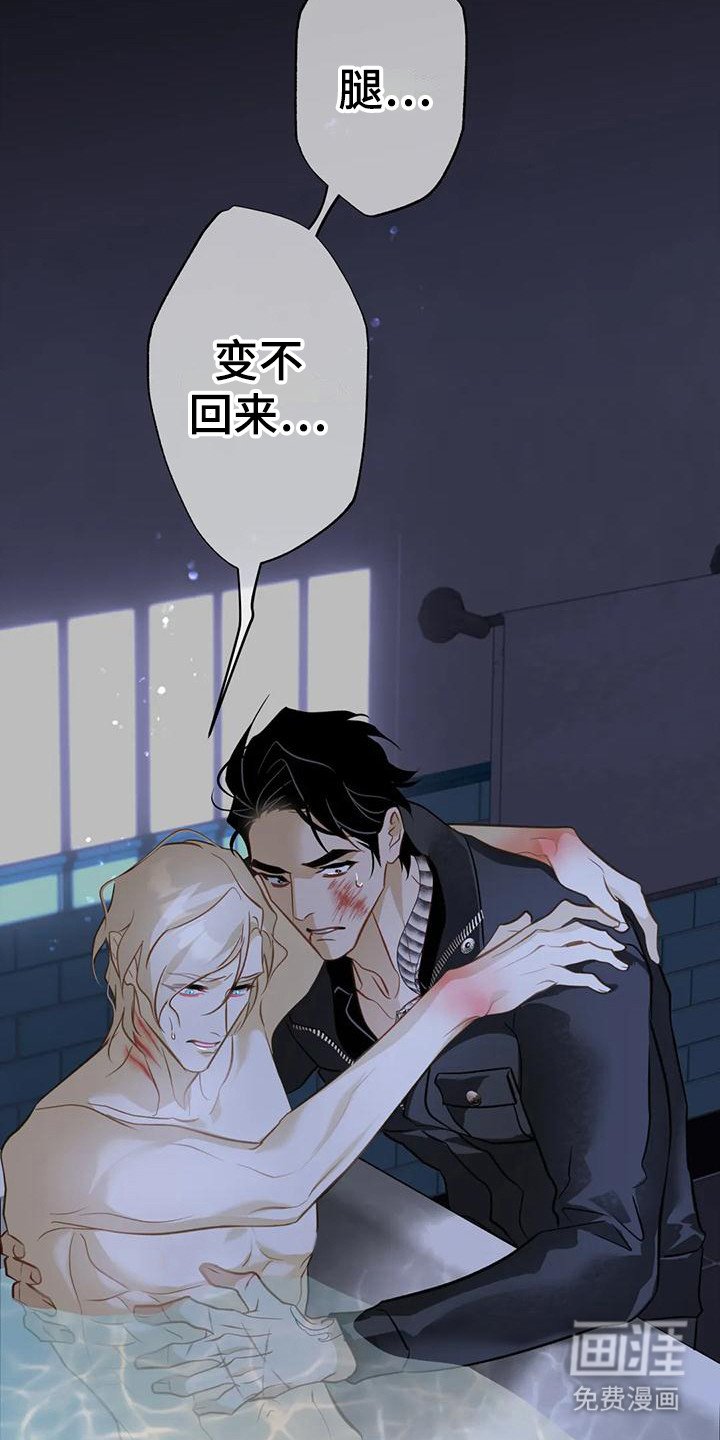 第20章：变不回来