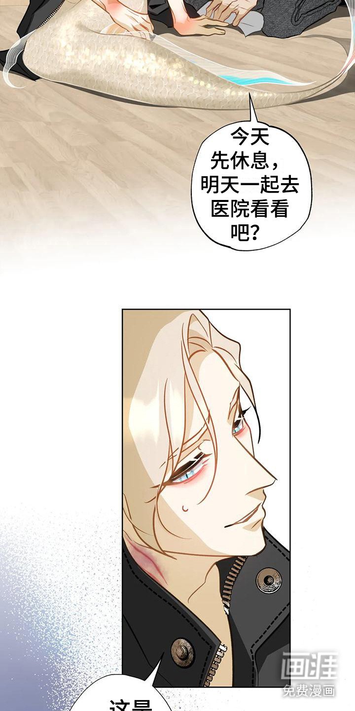 第21章：什么都行