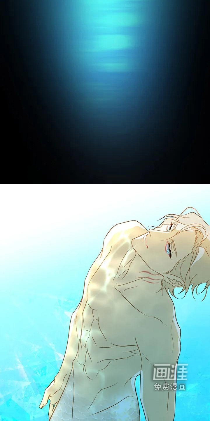 第4章：人鱼