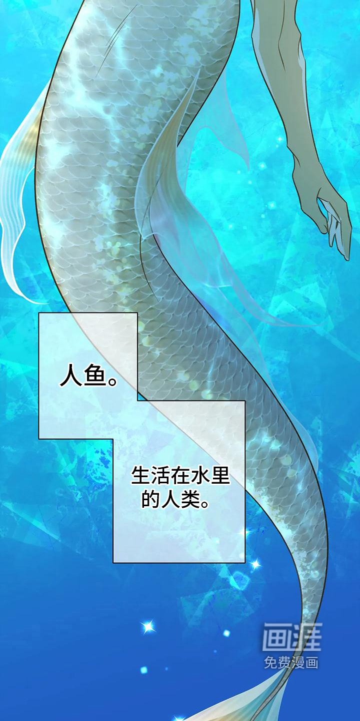第4章：人鱼