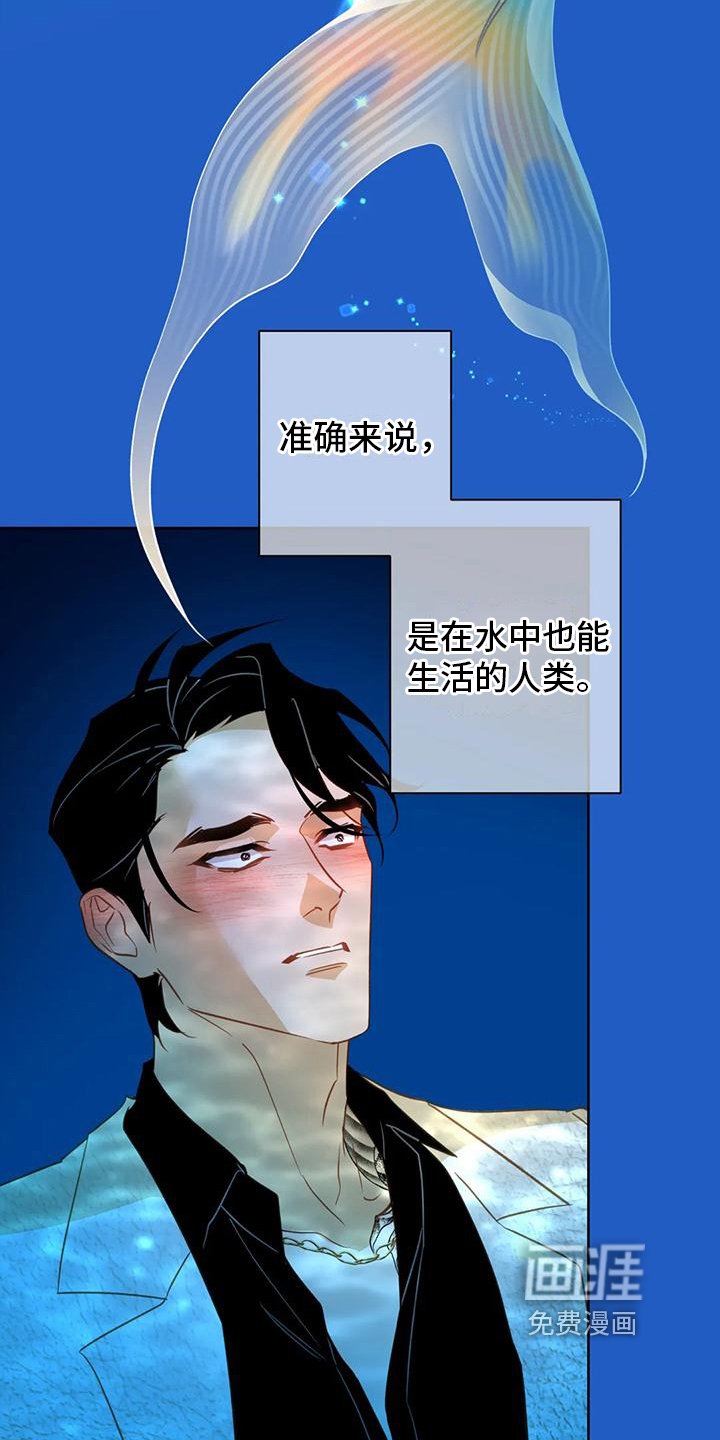 第4章：人鱼