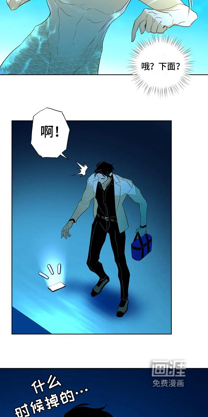 第5章：水秀