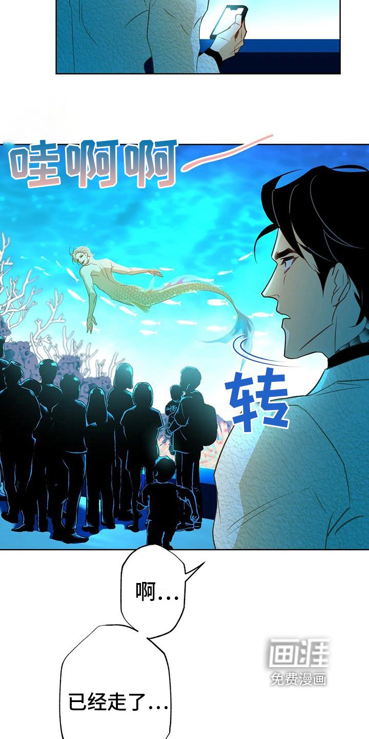 第5章：水秀