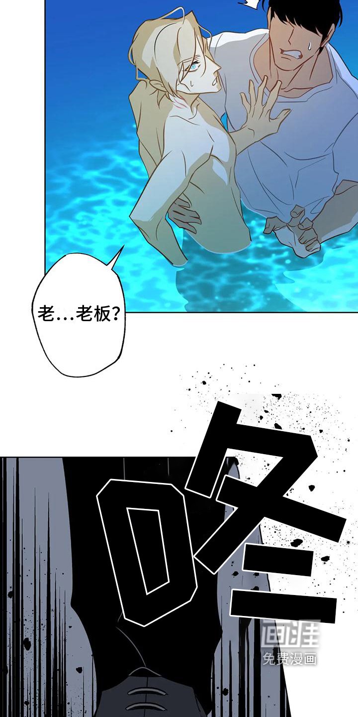 第6章：自荐