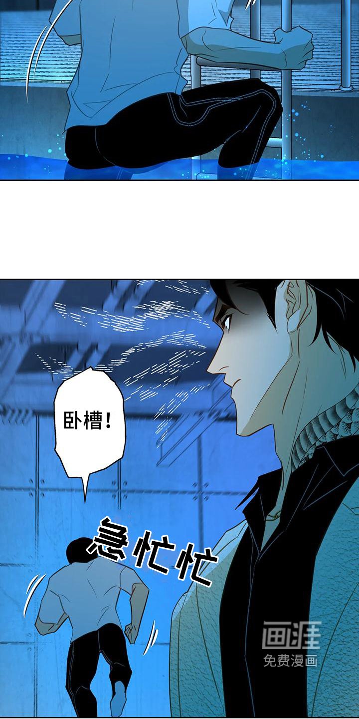 第6章：自荐
