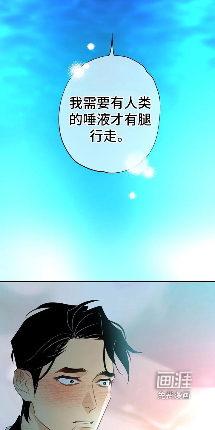 第6章：自荐