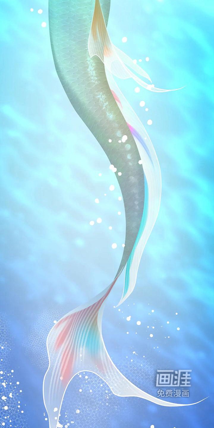 第7章：约定