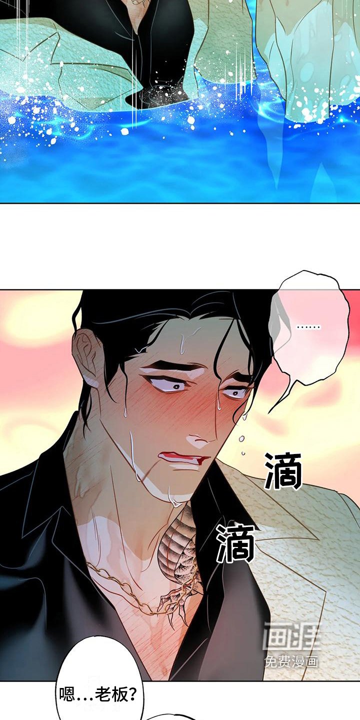 第7章：约定
