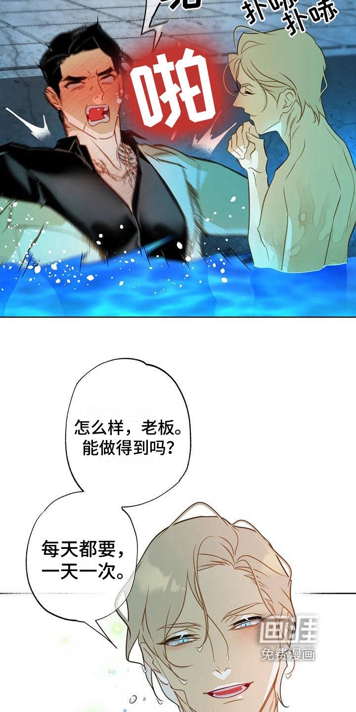 第7章：约定
