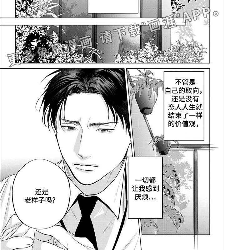 第2章：都被看到了