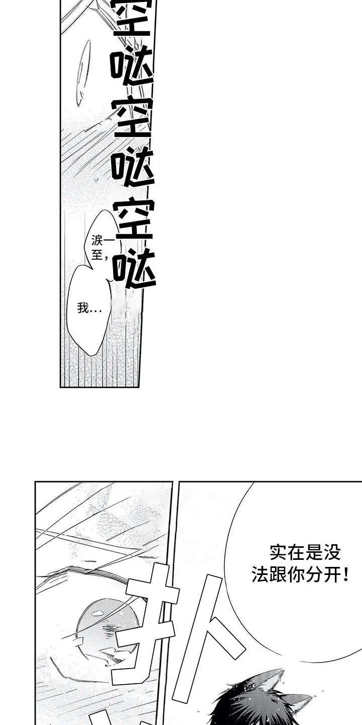 第12章：不再逃避