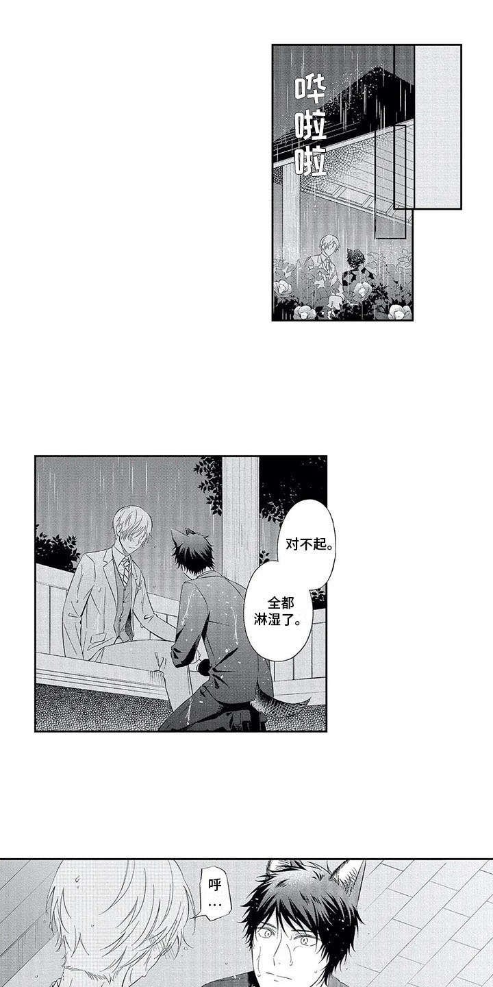 第12章：不再逃避