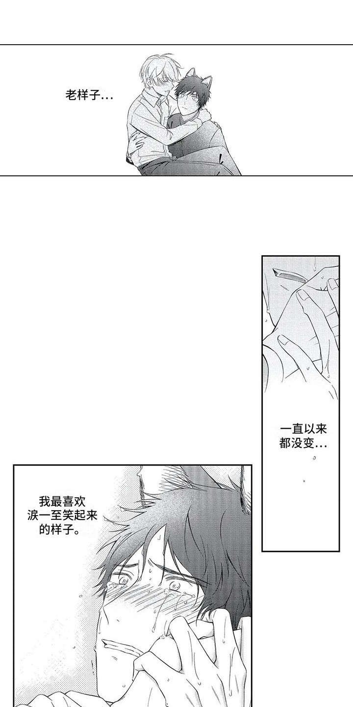 第13章：表白