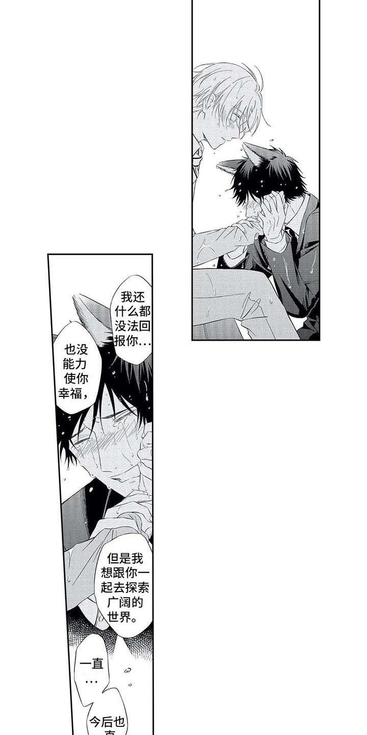 第13章：表白