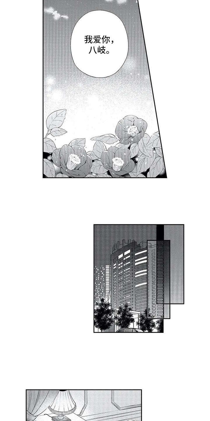 第13章：表白