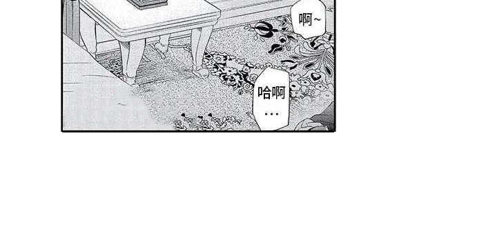 第13章：表白