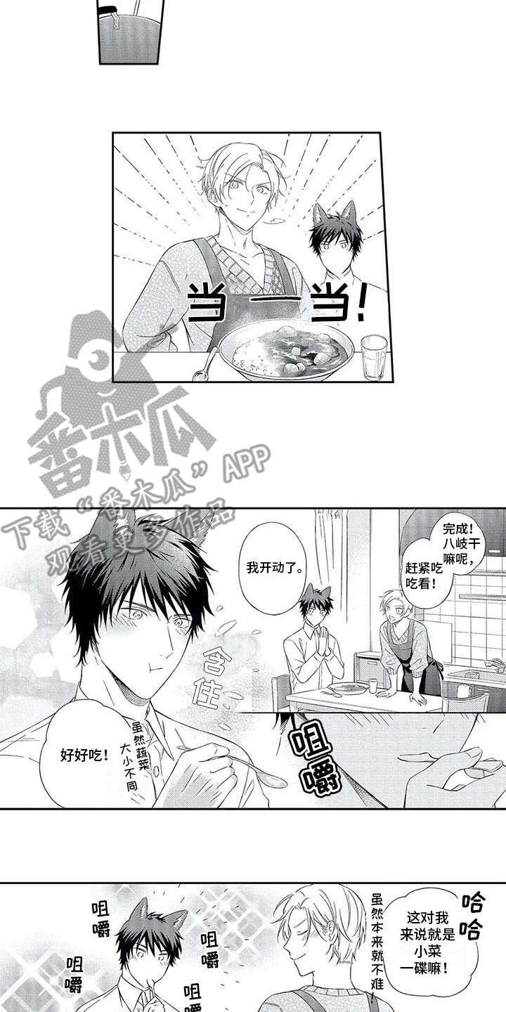 第18章：喜悦