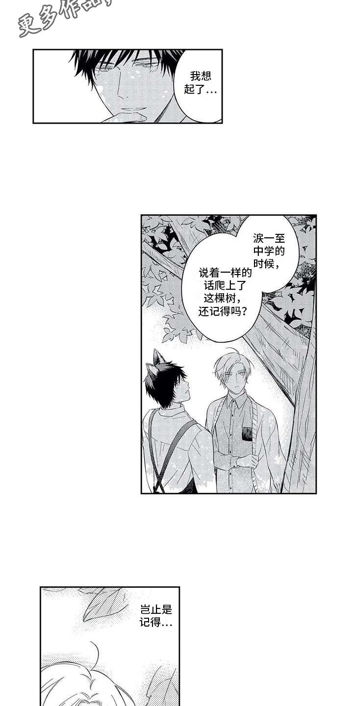 第5章：单纯