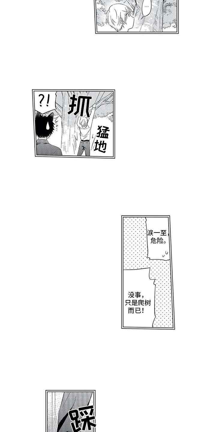第5章：单纯