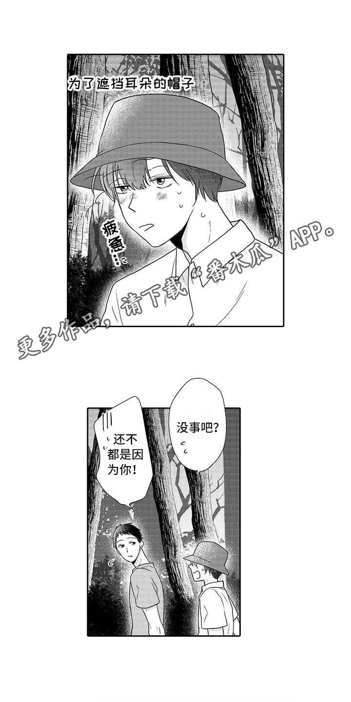 第10章：庆典