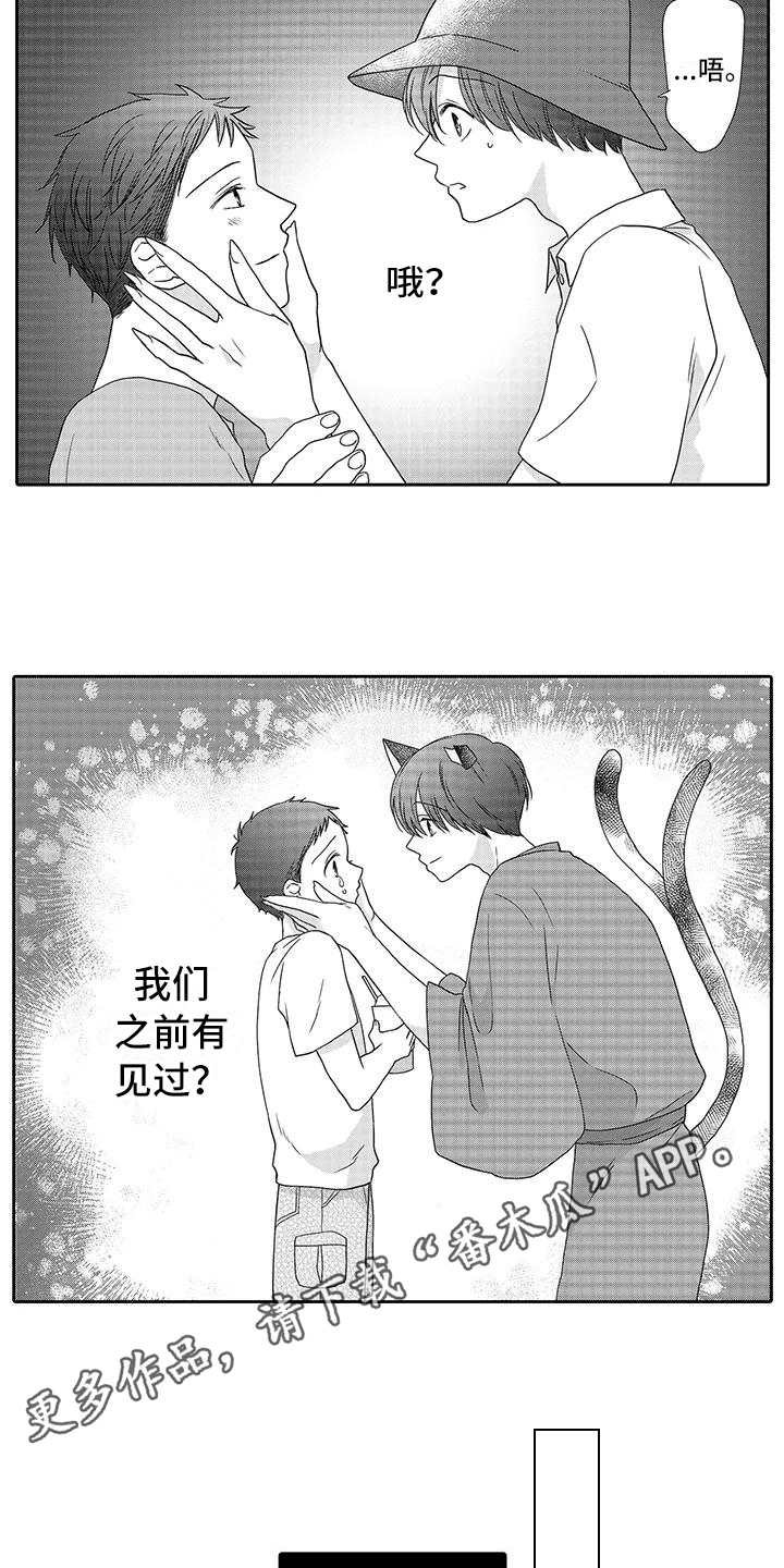第12章：曾经见过