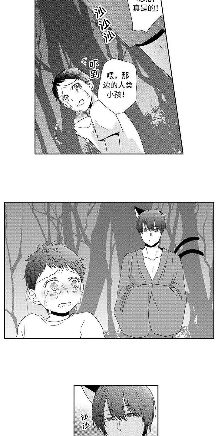 第12章：曾经见过