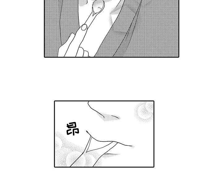 第13章：安全感