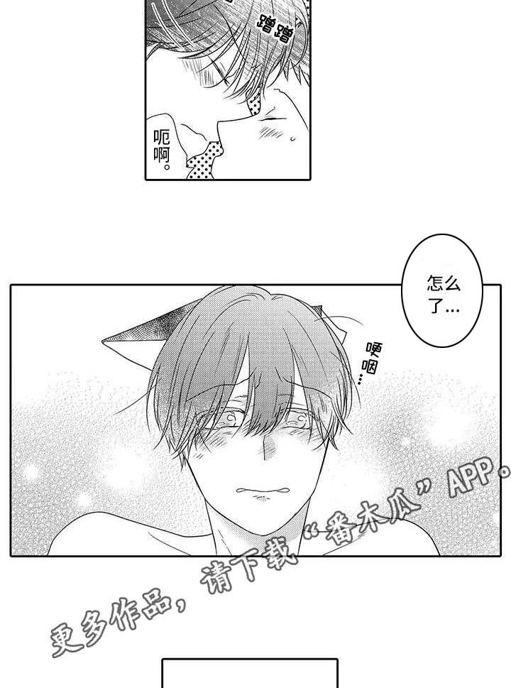 第15章：想保护你