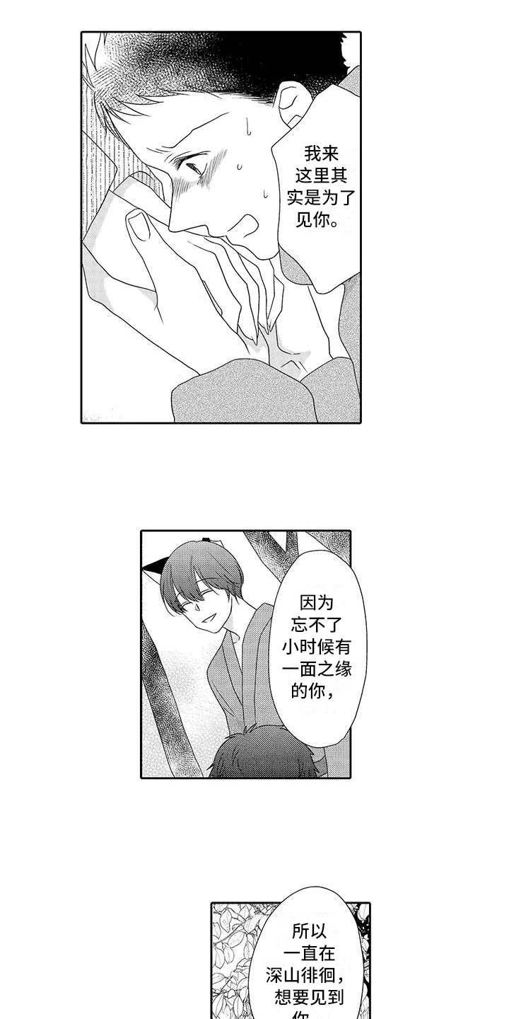 第20章：心意